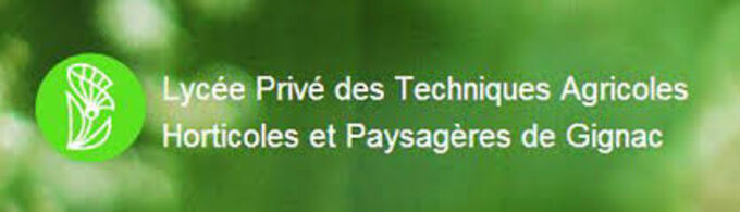Sans titre.jpg